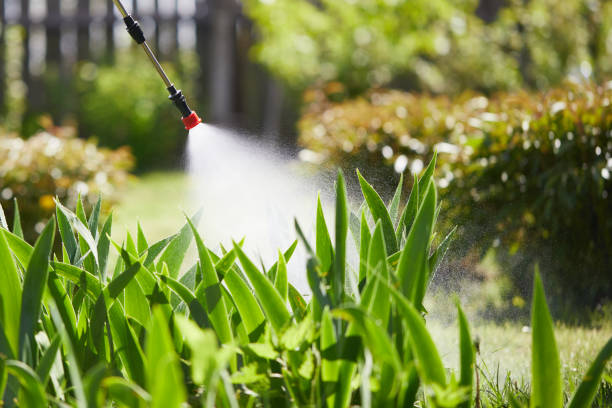 24/7 Emergency Termite Control experts in Salem Heights, OH