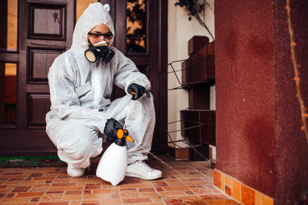 Reliable Termite Control contractor in Salem Heights, OH by Nex Pest Control