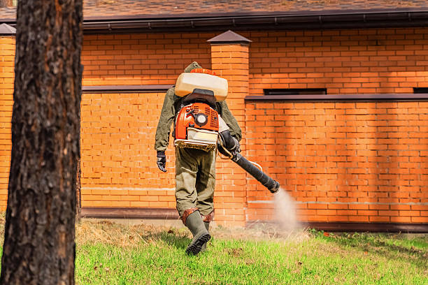 Trusted Termite Control service in Salem Heights, OH - Nex Pest Control